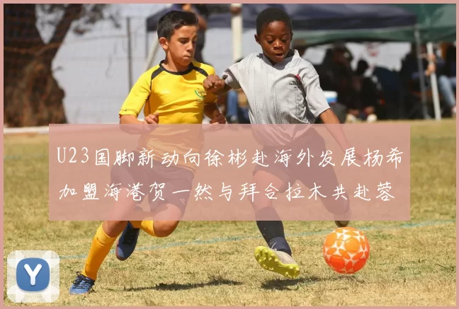 U23国脚新动向徐彬赴海外发展杨希加盟海港贺一然与拜合拉木共赴蓉城