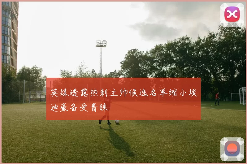 英媒透露热刺主帅候选名单缩小埃迪豪备受青睐