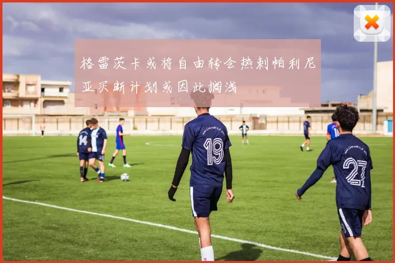 格雷茨卡或将自由转会热刺帕利尼亚买断计划或因此搁浅